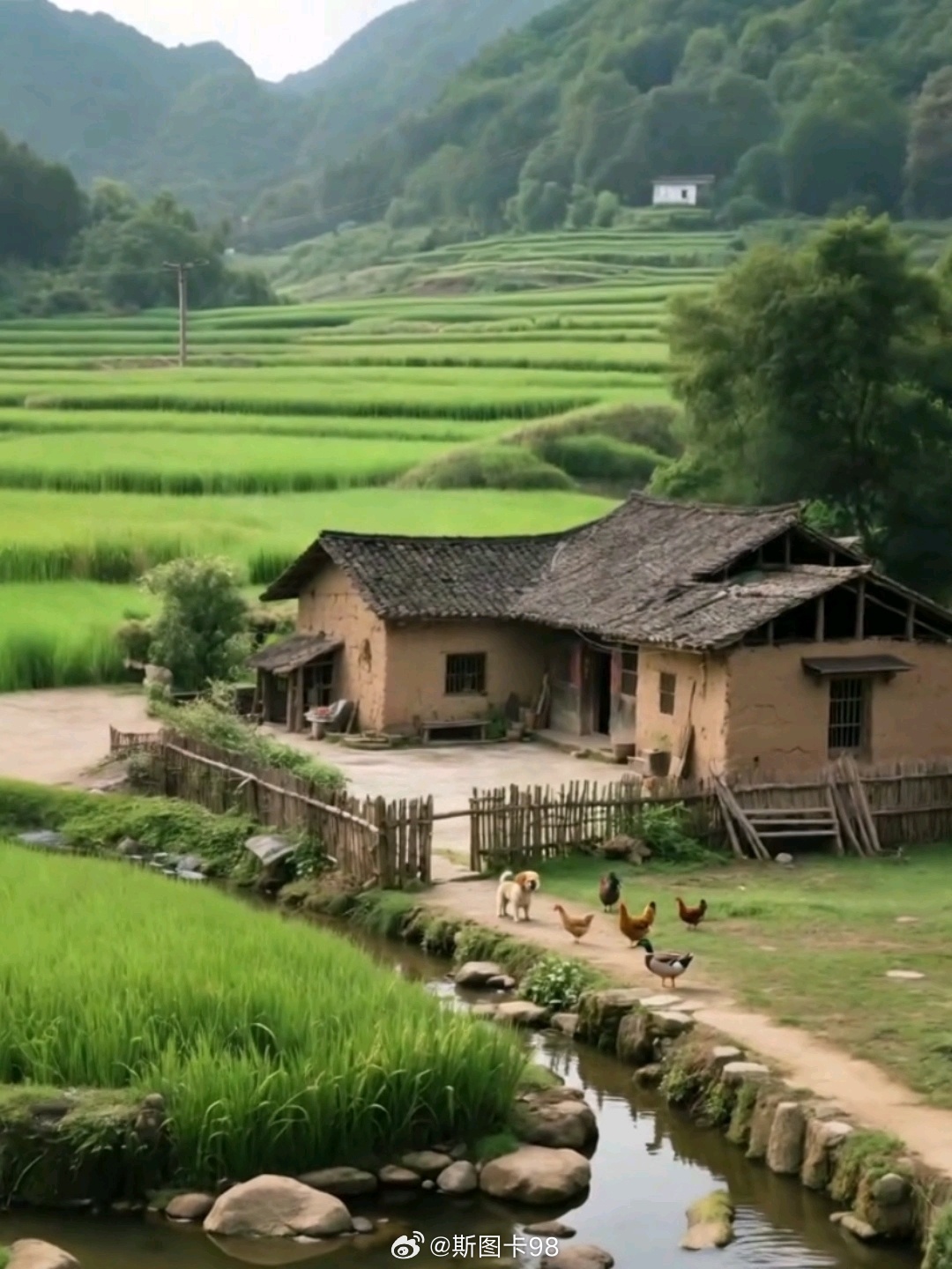 吴克群助农被印上奶茶小票有网友晒出奶茶小票，上面不再是常规内容，反而印着吴克群的