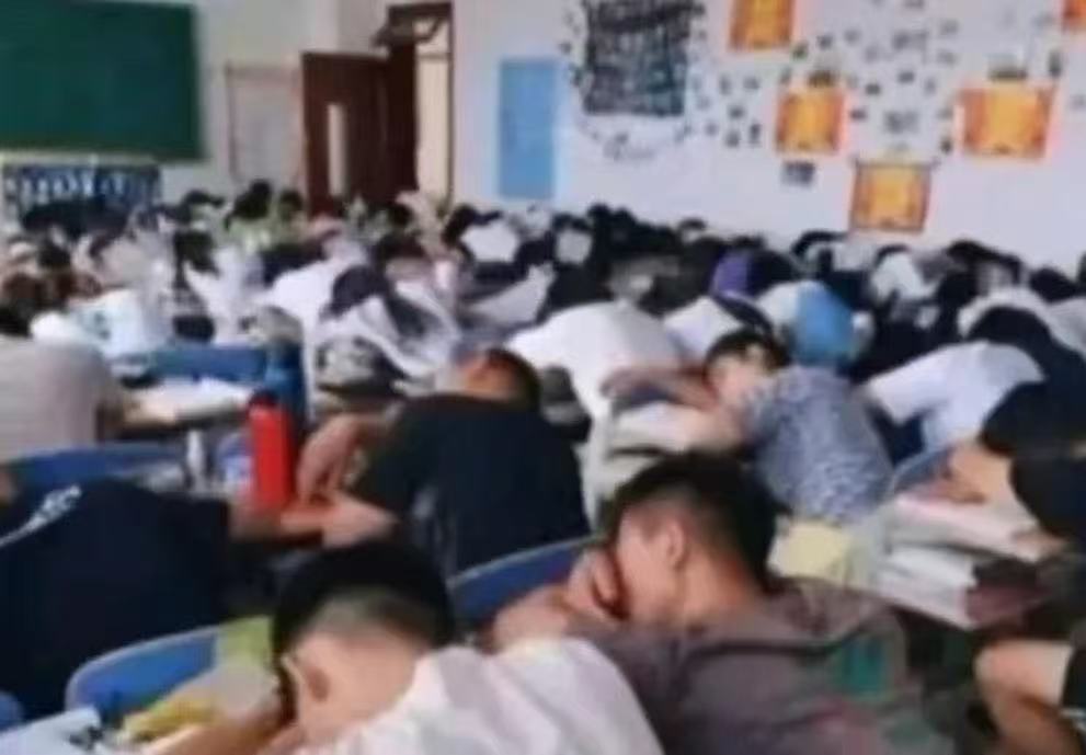 怎么一下把他们全都叫醒 