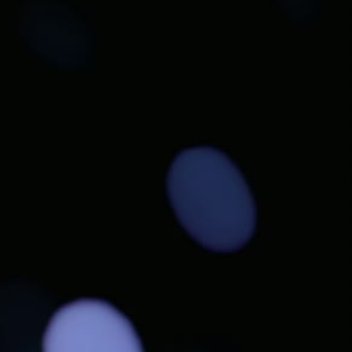 阳光信用 每日一善 熊猫守护者 养权重❗❗❗尊敬的先生我希望在你的Fendi里找