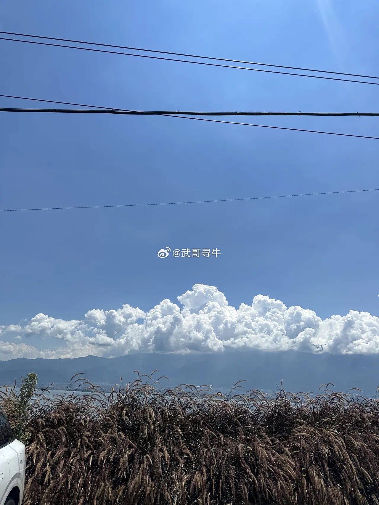 超4300只股上涨提个醒，要起飞了！收盘了！今天这个盘，必须给满分——三大指数集