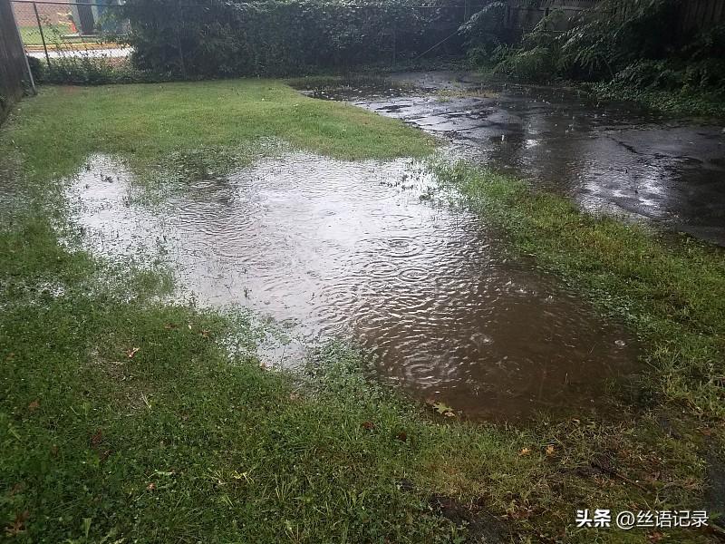 在雨中忙活一阵子
感觉痛快淋漓
将院子里的积水
刮到大门口
雨水就流出了门外
尽