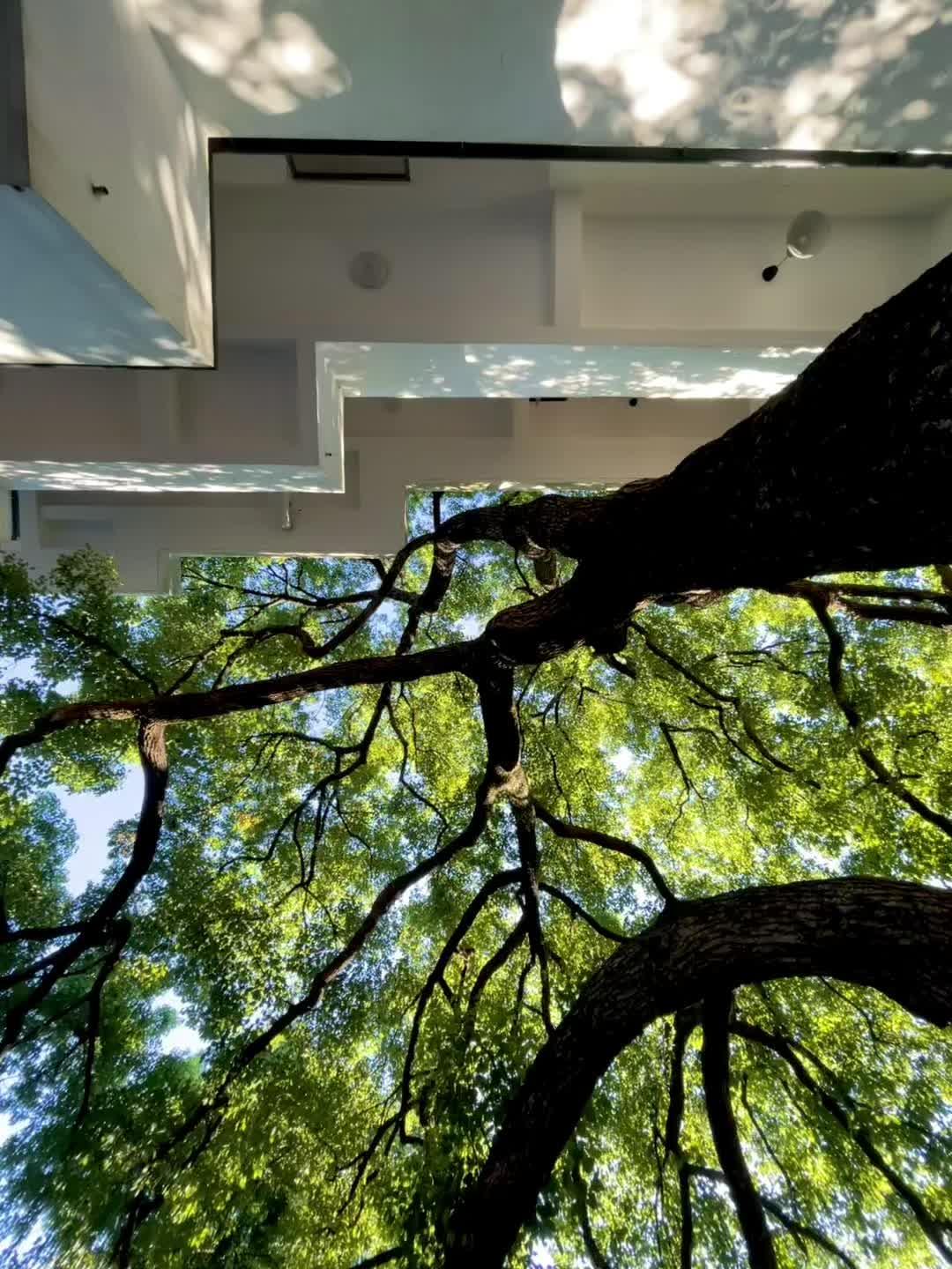 发明live图的人真是个天才！