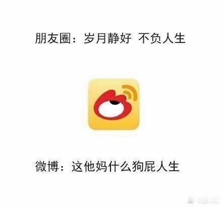朋友圈和微博的差别belike朋友圈是熟人面前的精装样板间，而微博是陌生人广场上