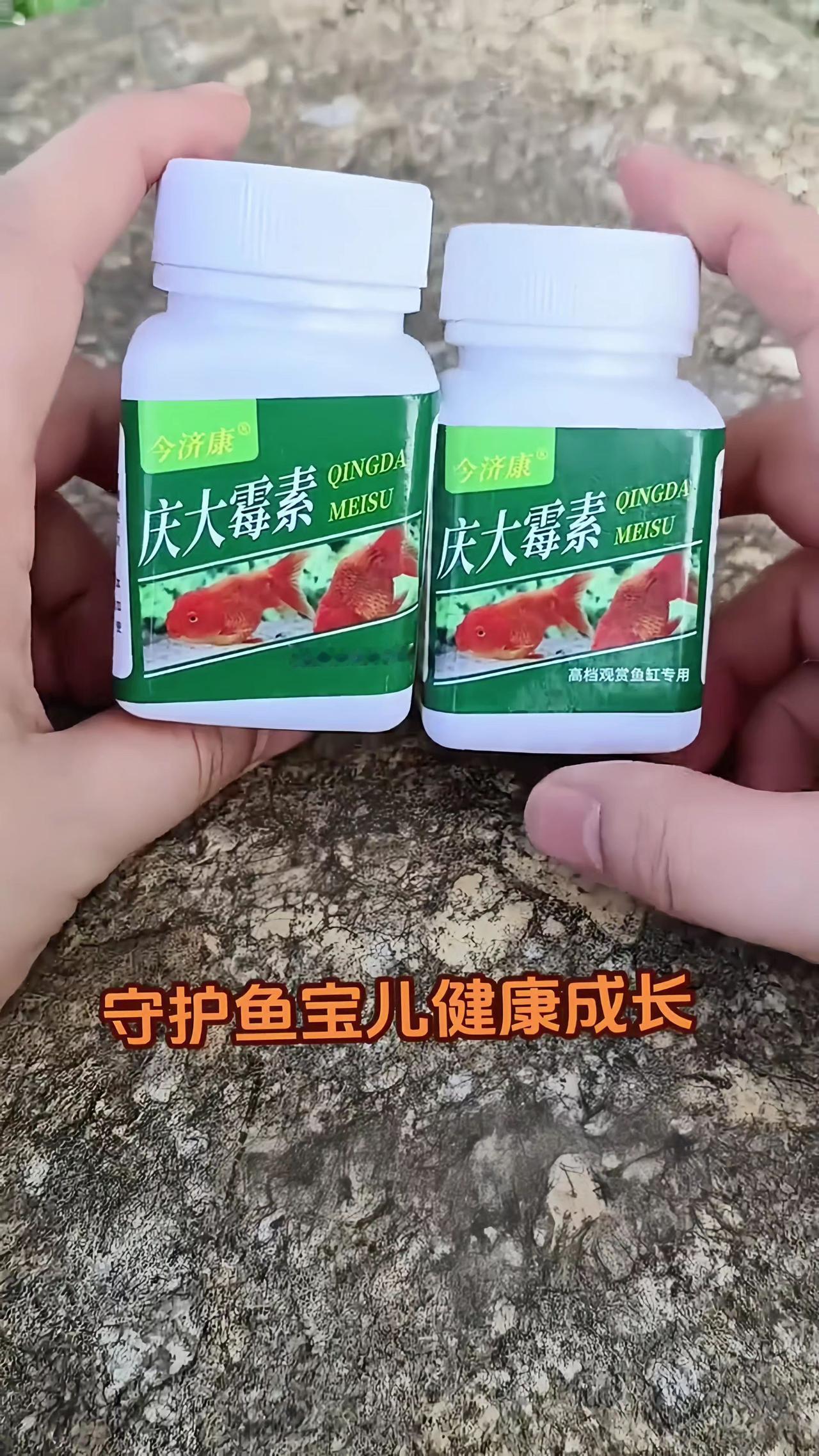 庆大霉素 养鱼日记 观赏鱼 观赏鱼交叉感染 新手养鱼