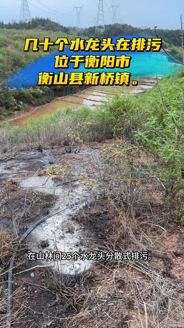 几十个水龙头在排污。
衡阳市衡山县新桥镇石仓村、仙鹅村，有村民反映当地一家养猪场