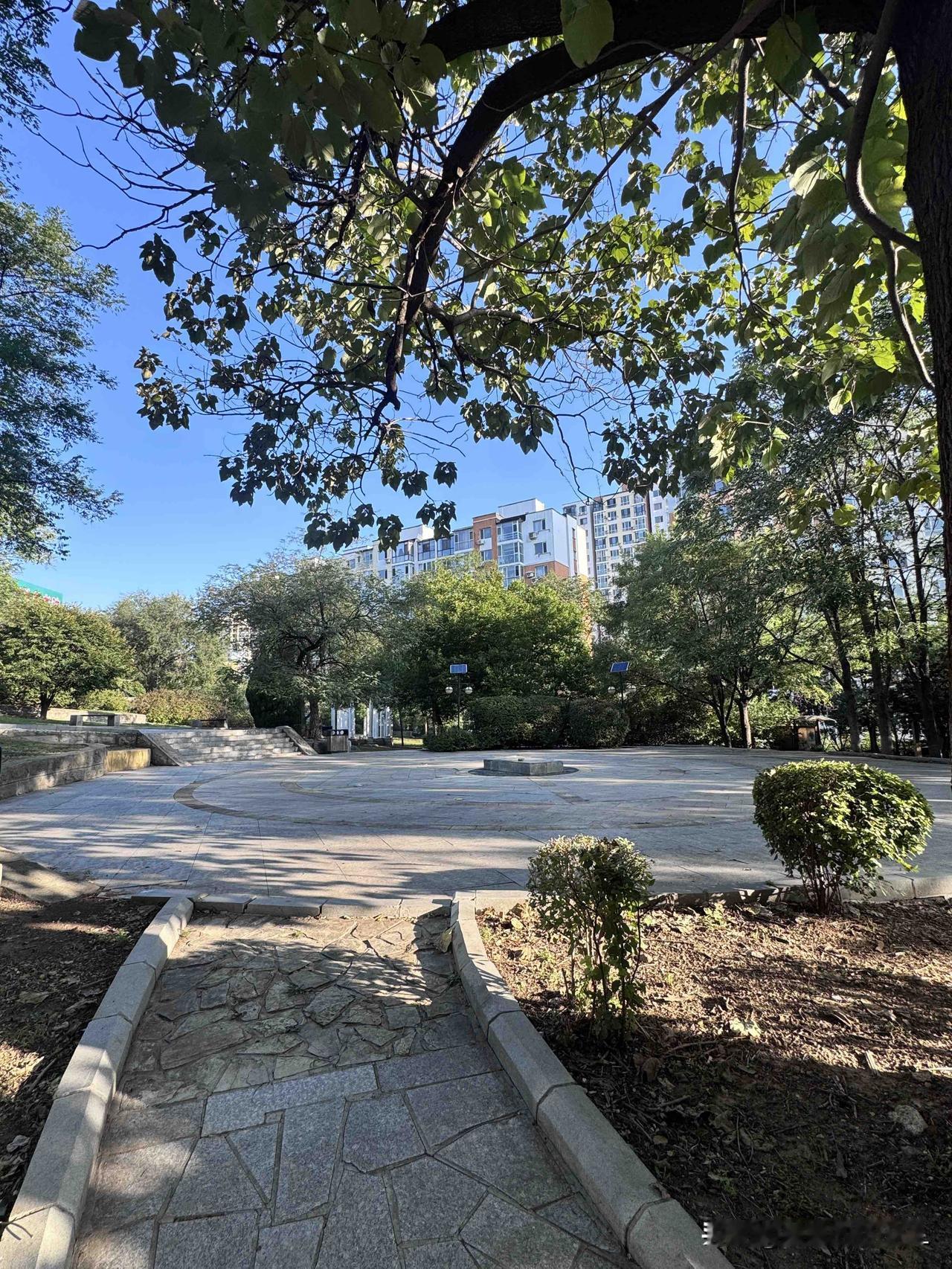 清晨的小广场，一个人也没有，

这个地方是我们跳广场舞的地方，现在，静悄悄的一个