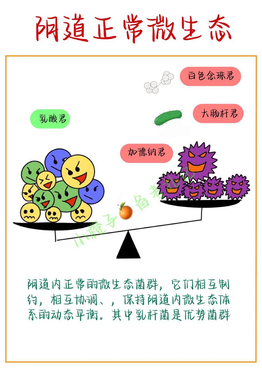 女生必看｜秋冬抵御力差‼️如何抵御阴道Y❓