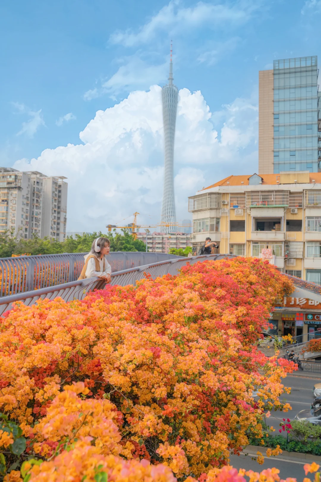 广州的冬天是倒放的春天🌸10-12月赏花攻略