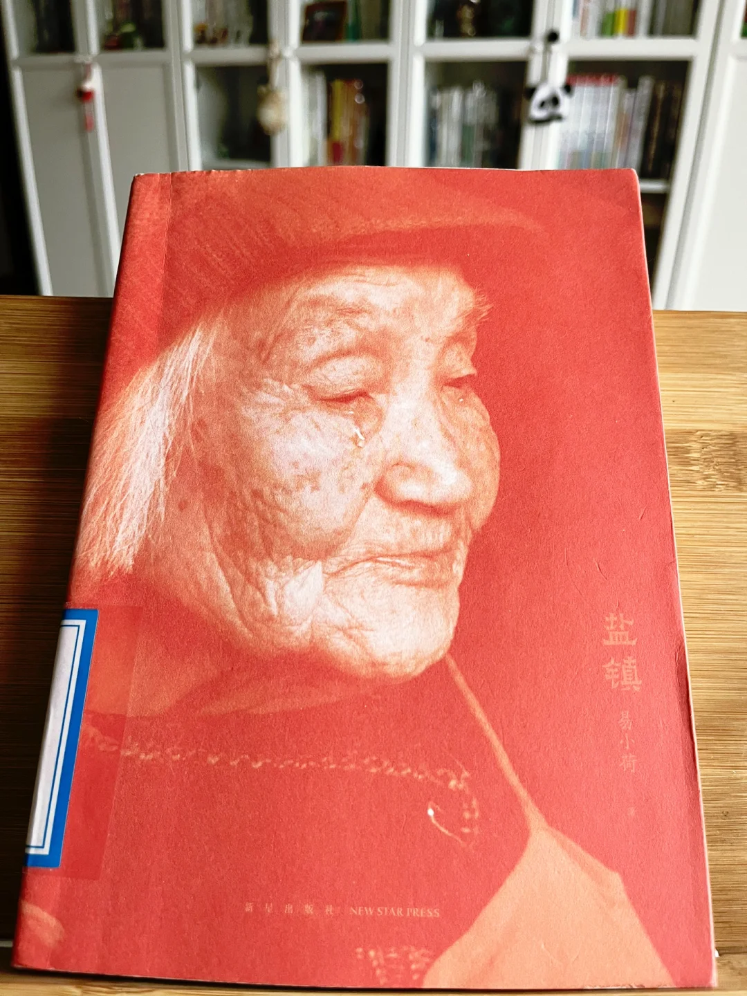 读书笔记～易小荷《盐镇》