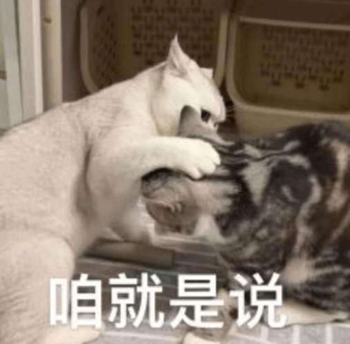 俺们馋猫要做遇到问题就解决问题的人，不做说声加油就把问题抛给铲子自己去想办法的人