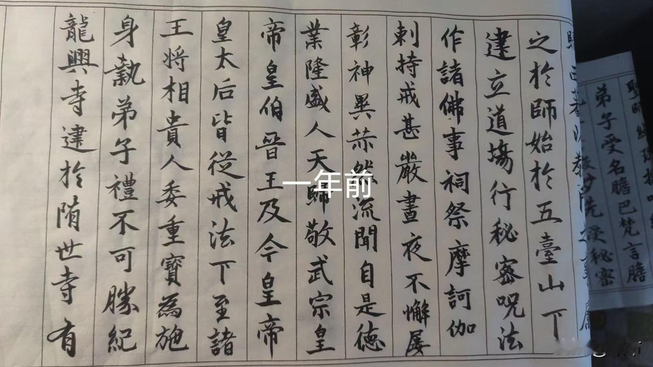 一年前，正式接触书法，临赵孟頫的胆巴碑，没有老师，就是自己照葫芦画瓢。最开始几天