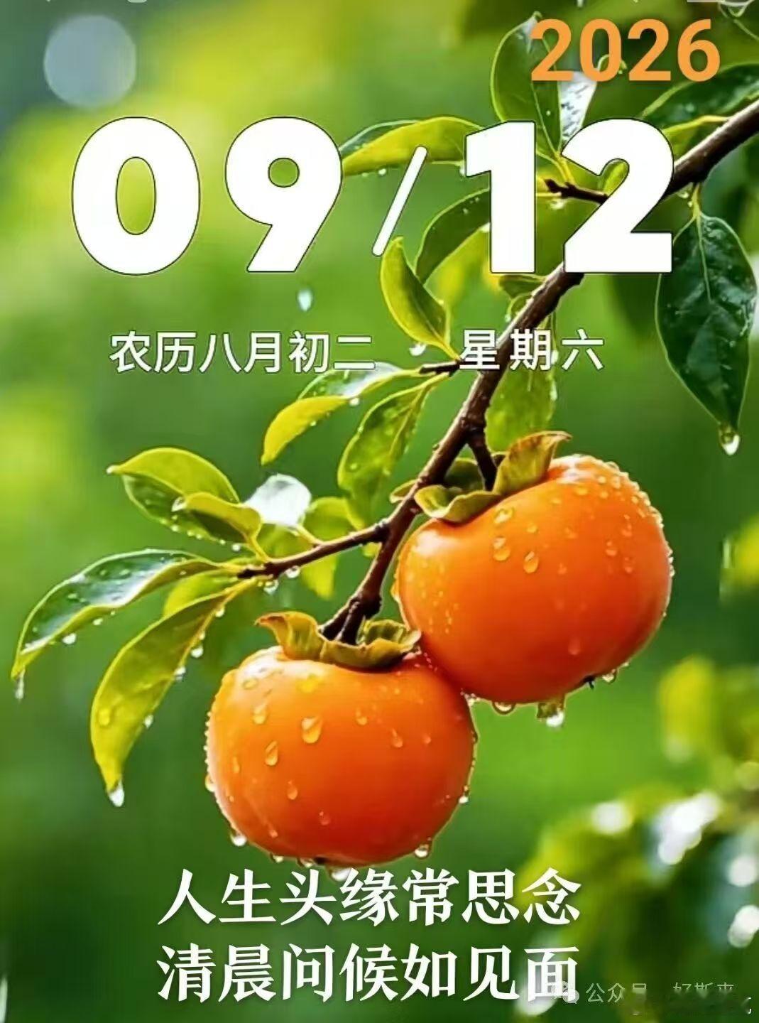 每天摸鱼打卡清晨的问候，带来愉快的一天。感恩有缘，人生遇见，愿这份真诚与美好的友