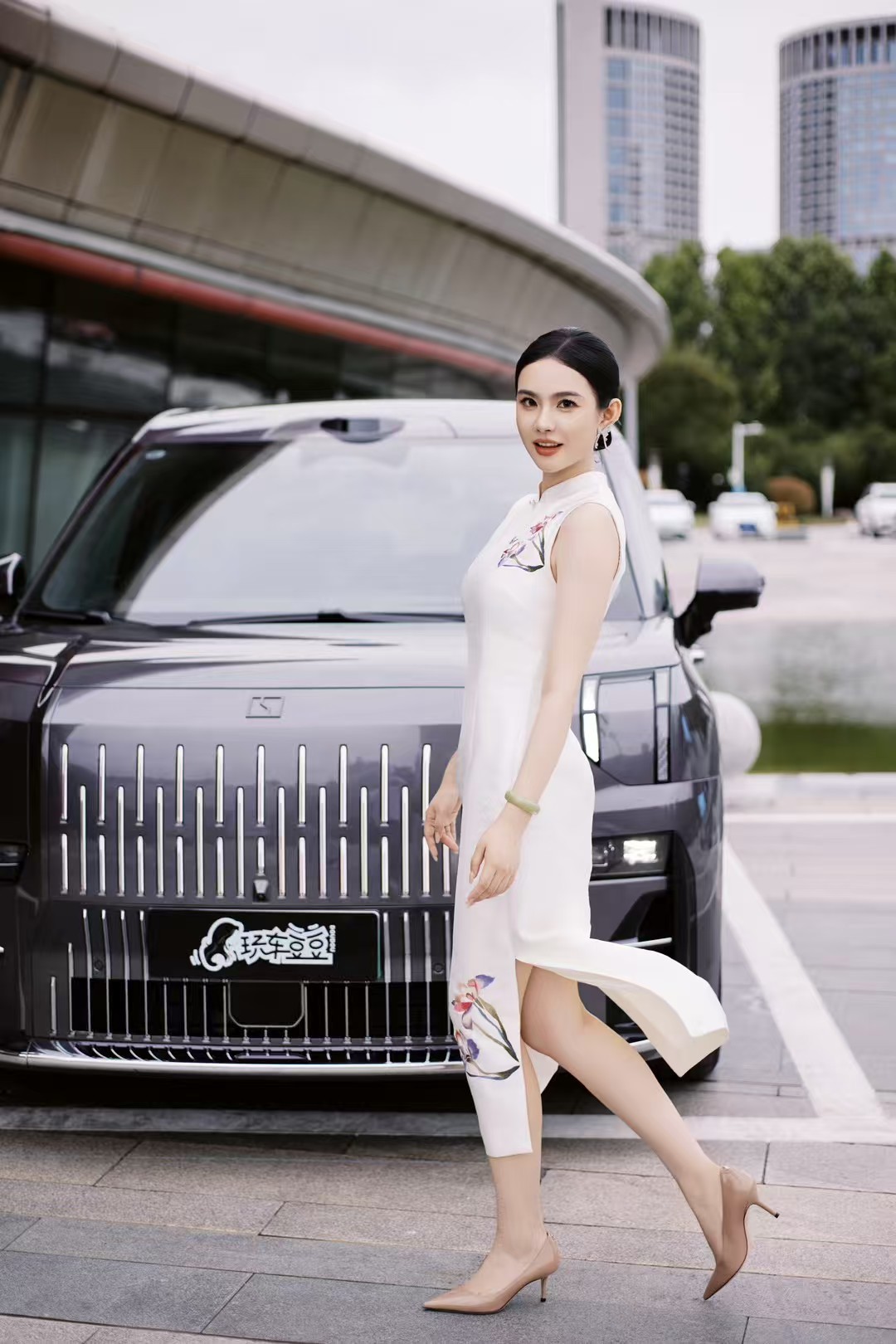 下周拍一台车，穿搭需求是：大气、雍容华贵！这样的话……图几的胖豆比较合适？ 