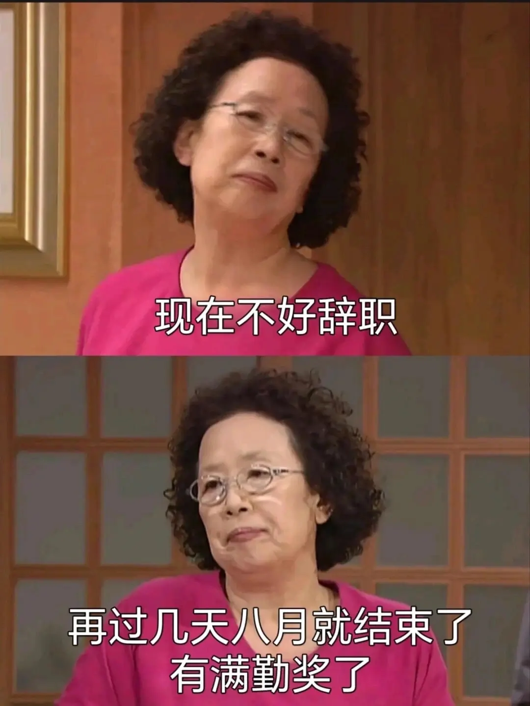 一年这么多天❗️怎么就找不到适合辞职的一天