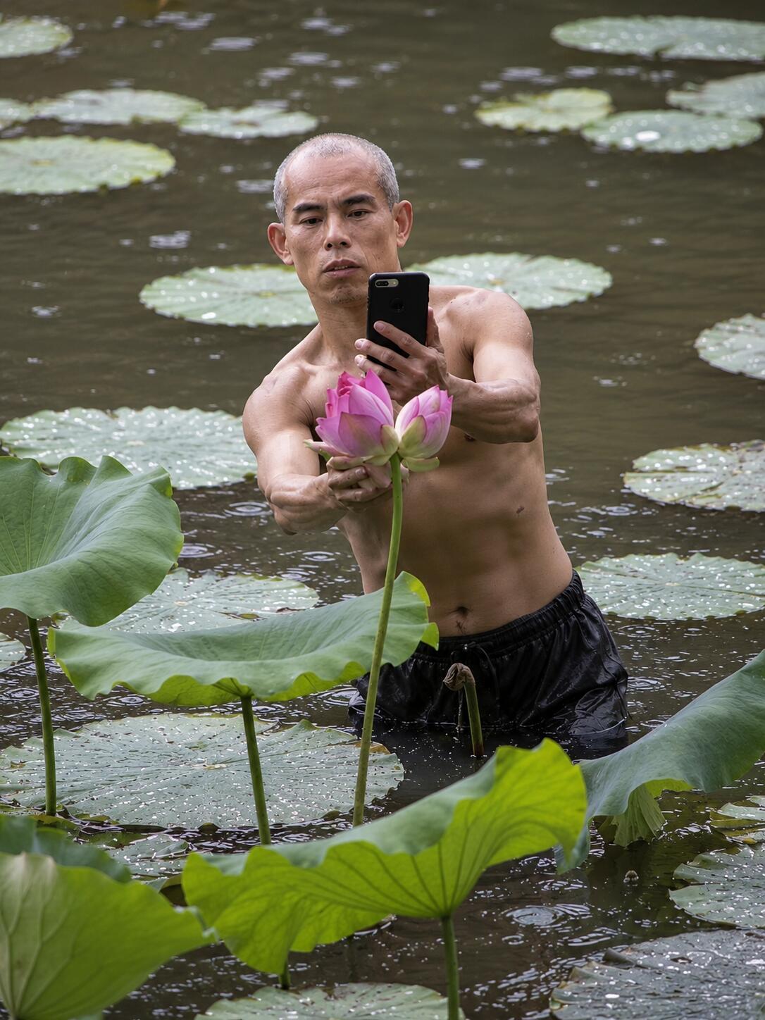 没长焦拍不了荷花？强者从不抱怨环境，不懂摄影的人会觉得，就简单拍个照而已，真的有