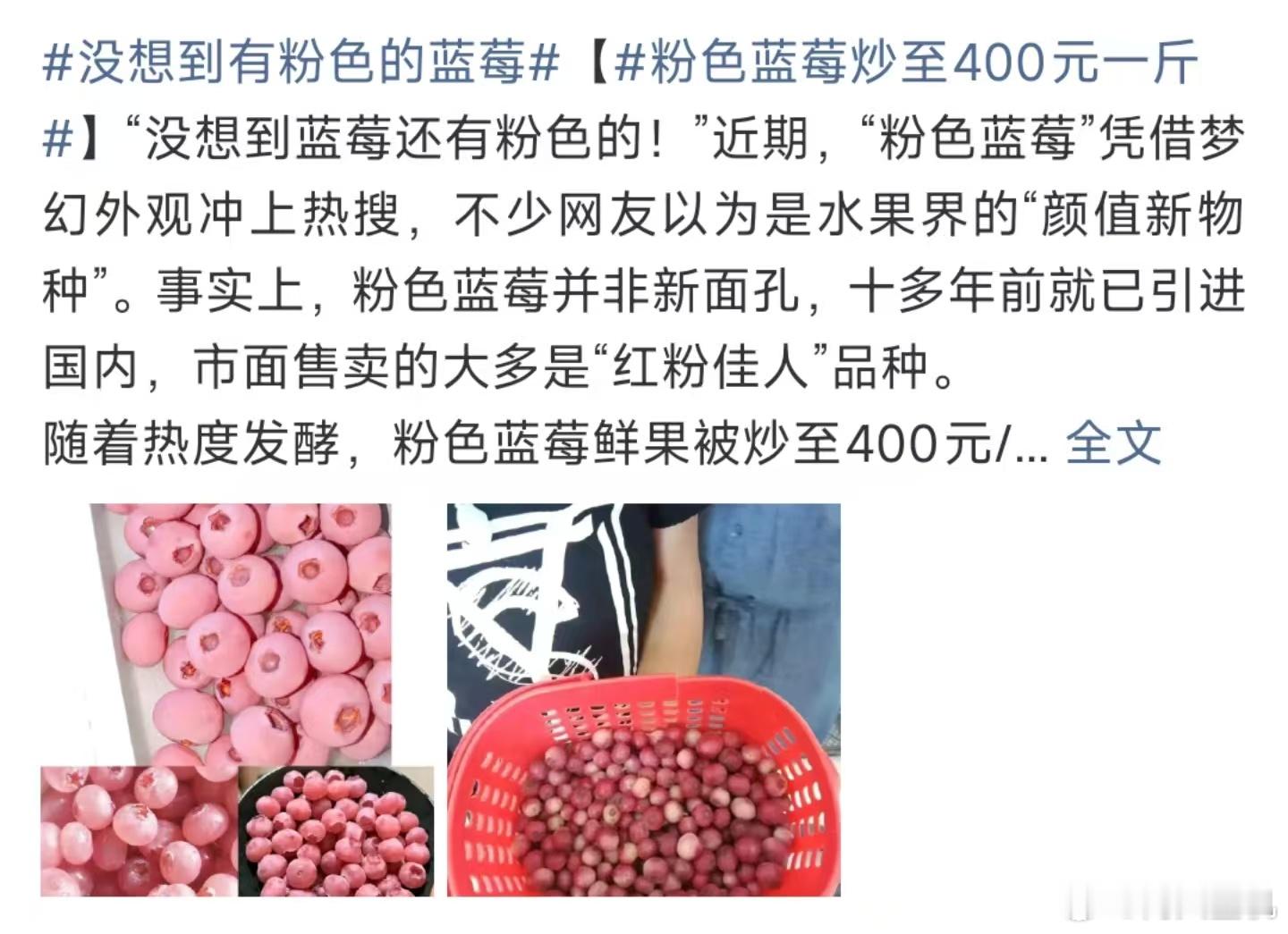 粉色蓝莓炒至400元一斤，如果是40-50一斤我觉得还可以尝尝，这400一斤的蓝