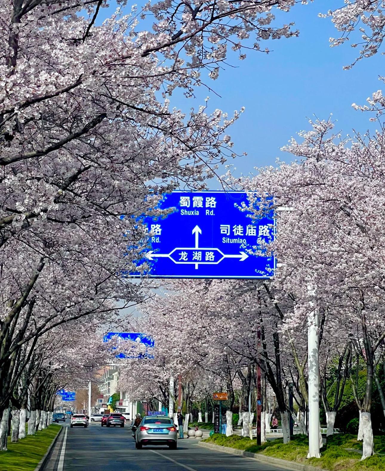 人在无助的时候需要的是共情 而不是大道理 我需要的是靠山 又不是判官。