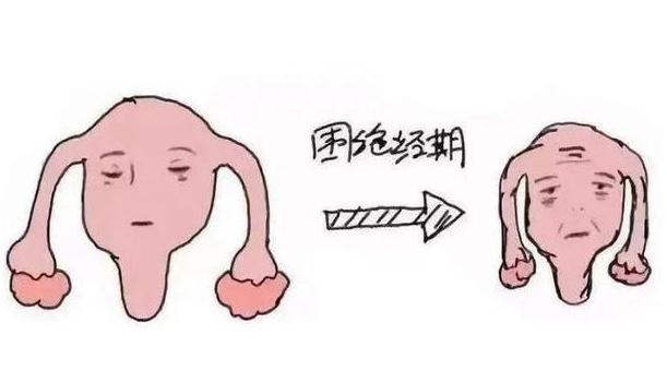 绝经后又出血，是回春了吗？
绝经后突然又见红，很多人第一反应是：是不是身体又年轻