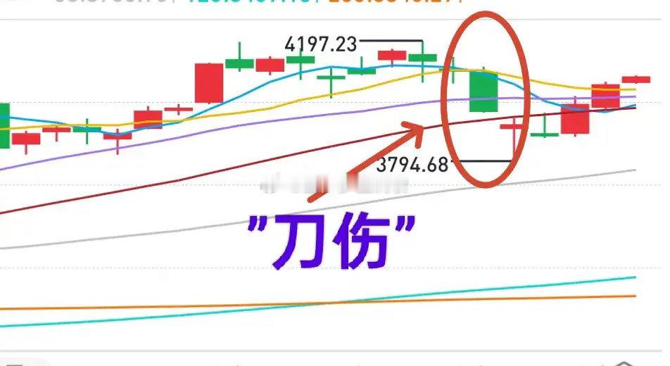 A股：昨天有朋友说，周末看了很多股评，只有金姐不看空——因为金姐看见了市场的“光