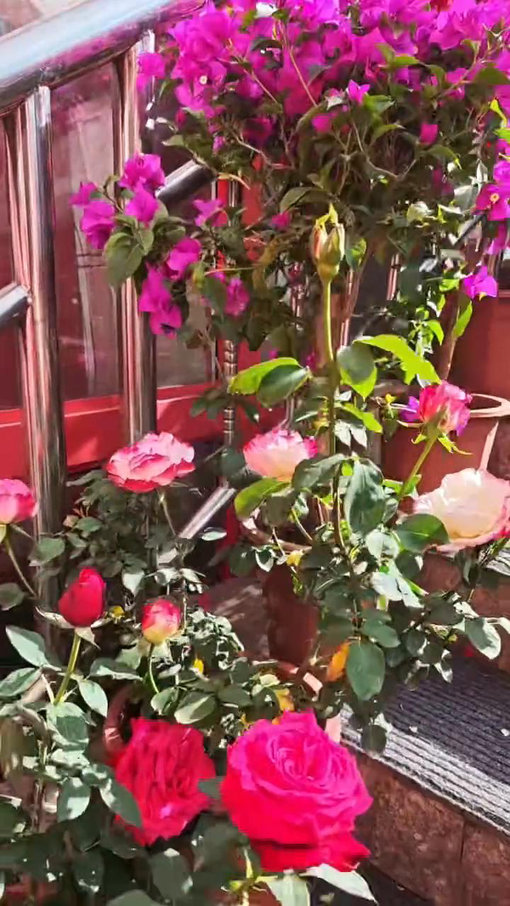 校服会极限十五块九，谁在发表？
·豆瓣酱八块九十公斤。
·天山麦香粉二十九块九五