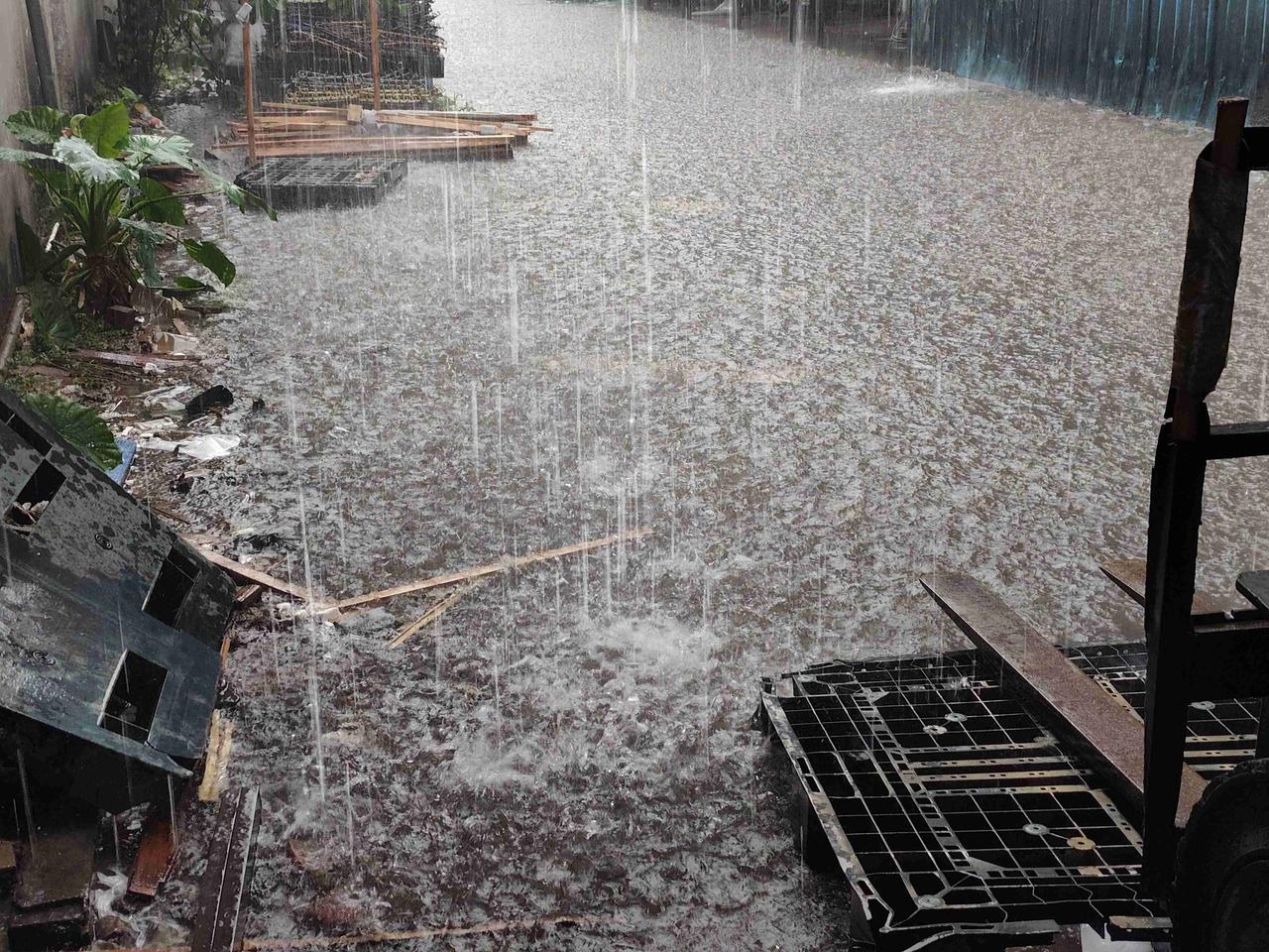 我的今日状态：😁轻松愉快
我这里的天气：⛈️雷雨
3月30日，东莞下了两趟雷阵