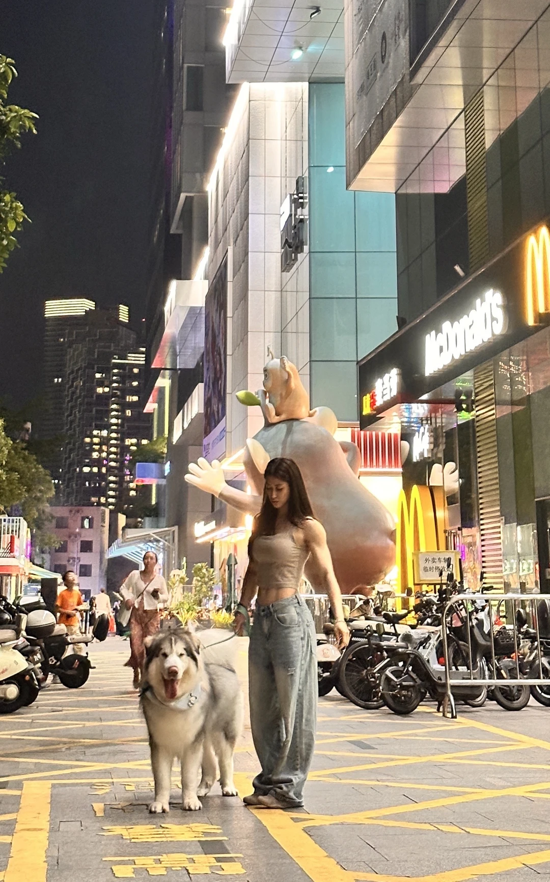 和小狗一起逛街吧 遛狗人遛狗魂阿拉斯加 女生养大狗