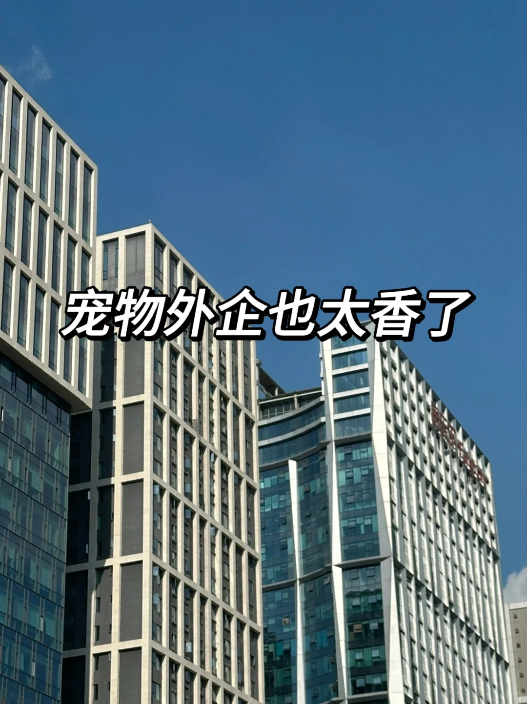 真的没有人想去宠物外企吗？也太香了