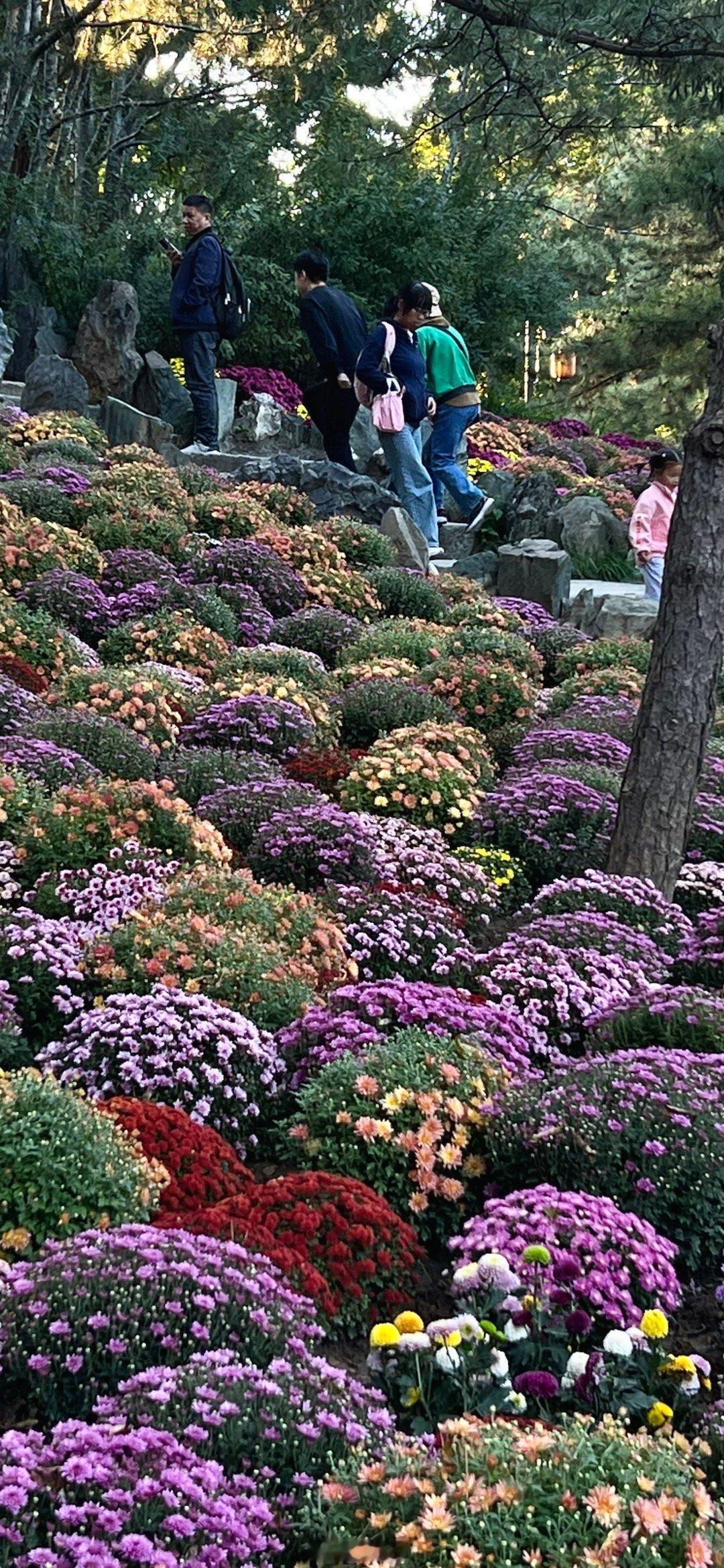 国庆假期北京日坛公园摄影​​​