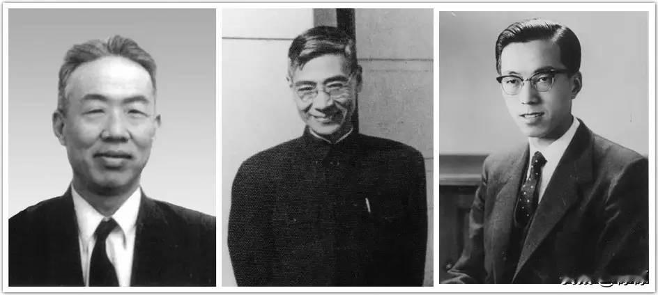 每一个国家都会有一些真正的爱国者，
无论他的国家
发达还是落后，
平静还是战乱…