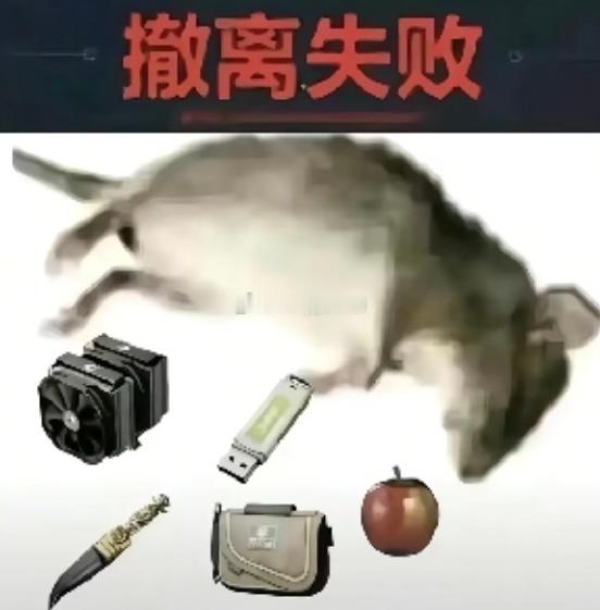 我chovy一晚上绝密航天打没一千来万哈弗币猛攻一把没撤出去过我也是想不到 服了