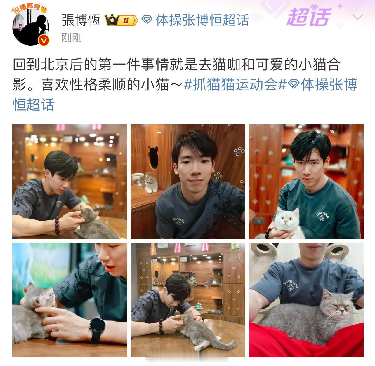 #羡慕张博恒抱着的猫# 张博恒也来抓猫猫啦！抓猫运动会还在进行当中，有红包！！！