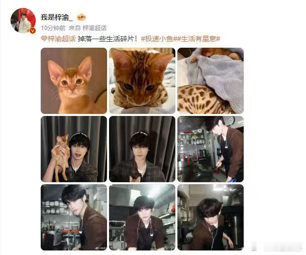 梓渝掉落的生活碎片梓渝晒猫了梓渝和小猫合照  梓渝掉落的生活碎片，梓渝晒猫了，谁