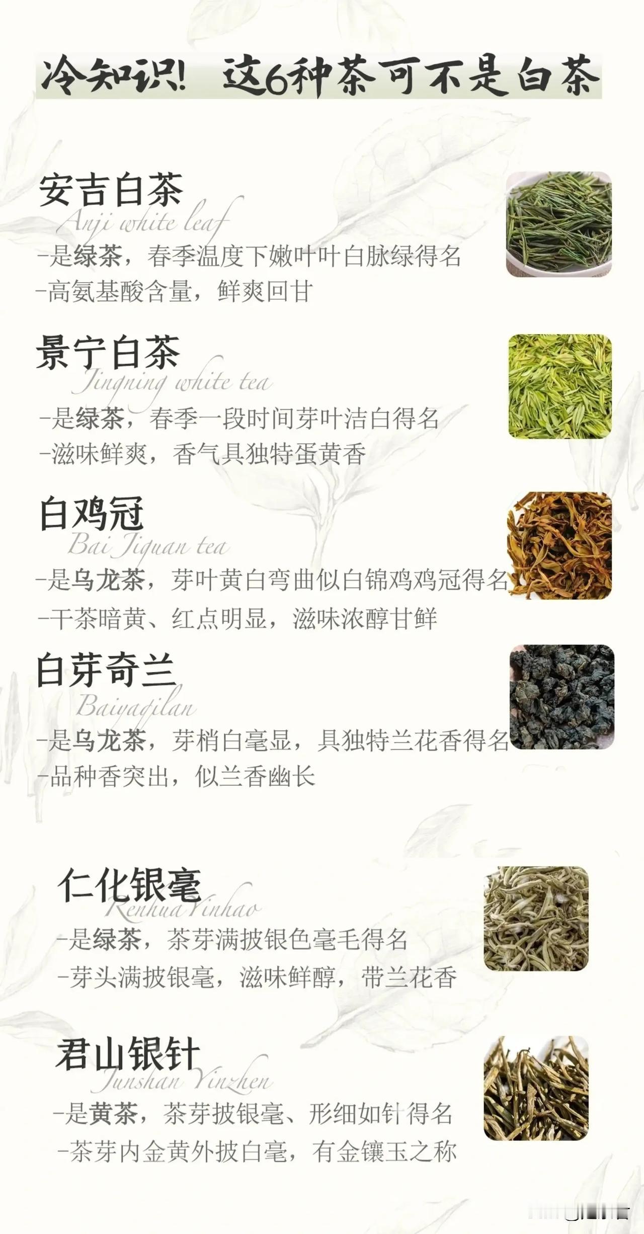 冷知识！这6种茶可不是白茶！

虽然白茶是六大茶类之一，但和绿茶、红茶相对比较小