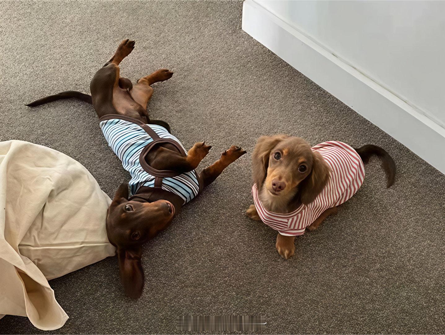 人生不过葱姜蒜  葱明一点 姜就一点 不行就蒜了 