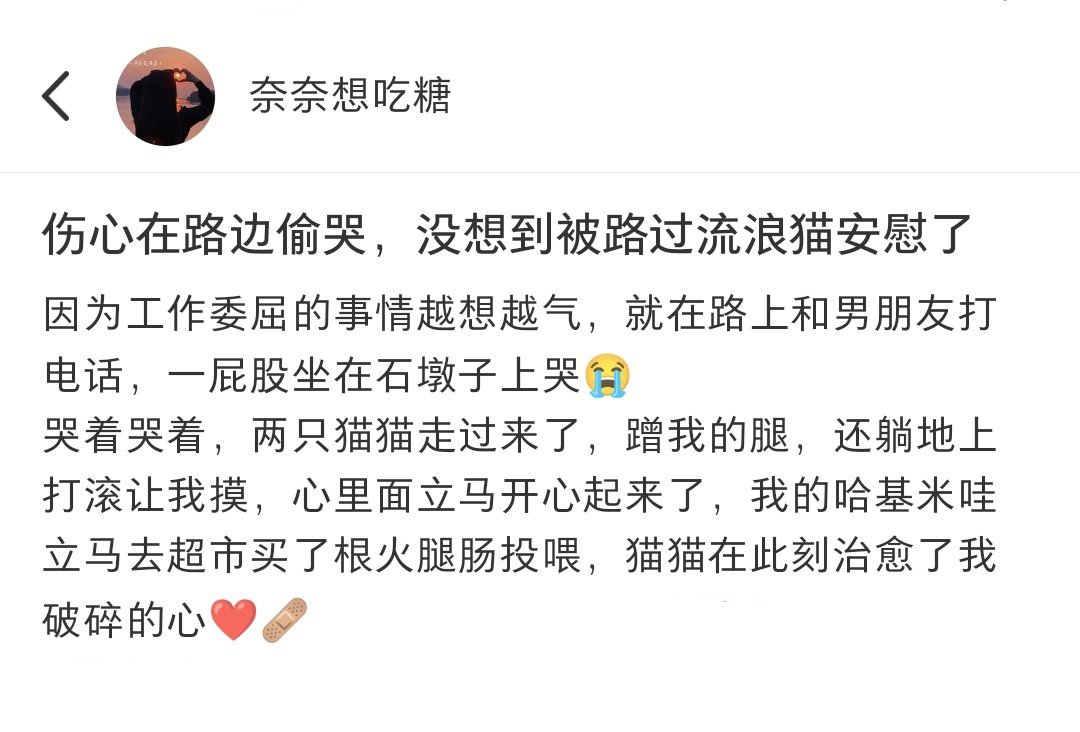 心情不好在路边偷哭，被路过的流浪猫安慰了[悲伤] ​​​