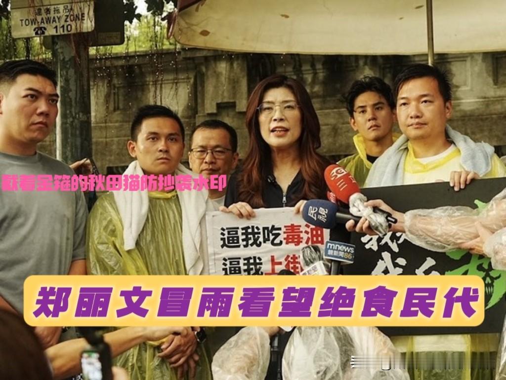 用好翻盘大礼包，宜将剩勇追穷寇！郑丽文冒雨看望绝食静坐的蓝营民代，心疼绝食者、怒