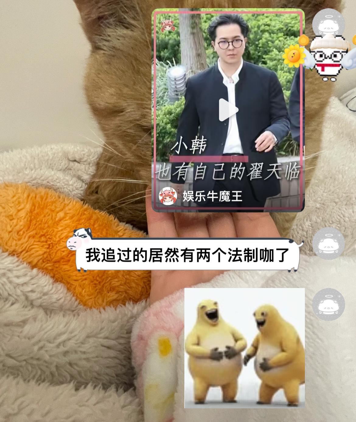 我都懵逼了呀 