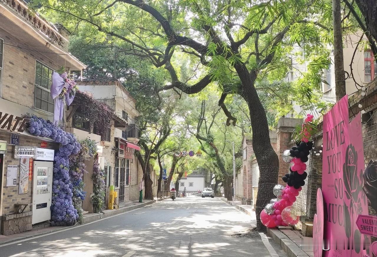 对福州老仓山大大小小街巷的偏爱，是藏在长久居住于此的本地人心里。
麦园路、公园路