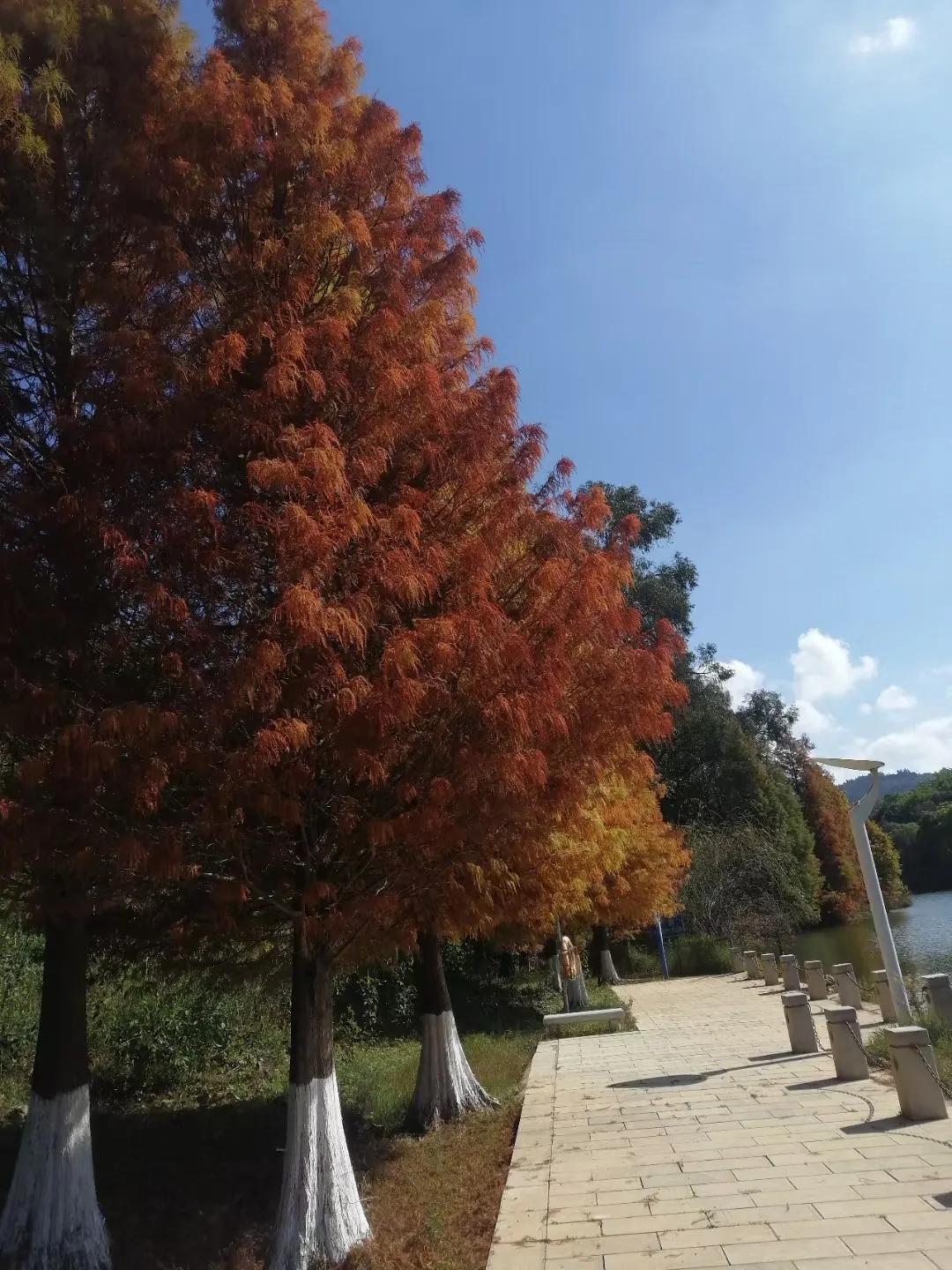 在当今社会，关于婚姻的基础是爱情还是利益的讨论从未停止。这是一个复杂且极具现实意