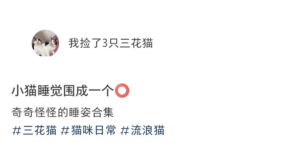 小猫睡觉围成一个圈 
