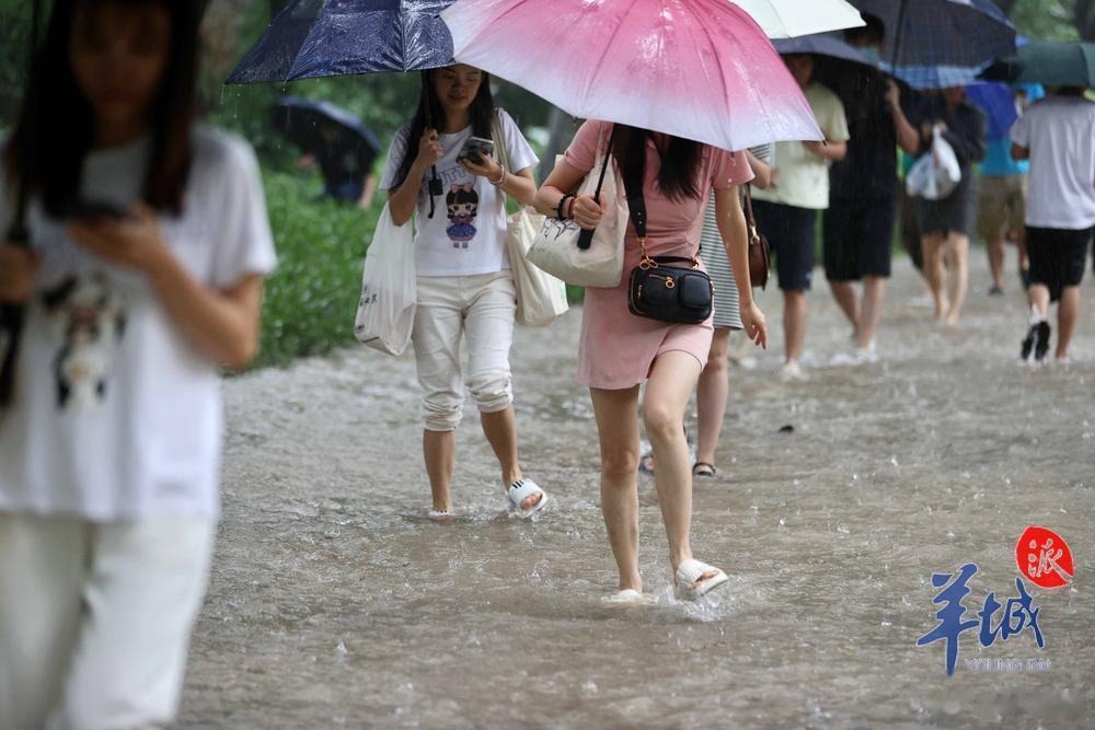 【多地出现超历史记录强降雨，广东刚柔并济战猛雨——】受台风“海葵”外围云系和季风