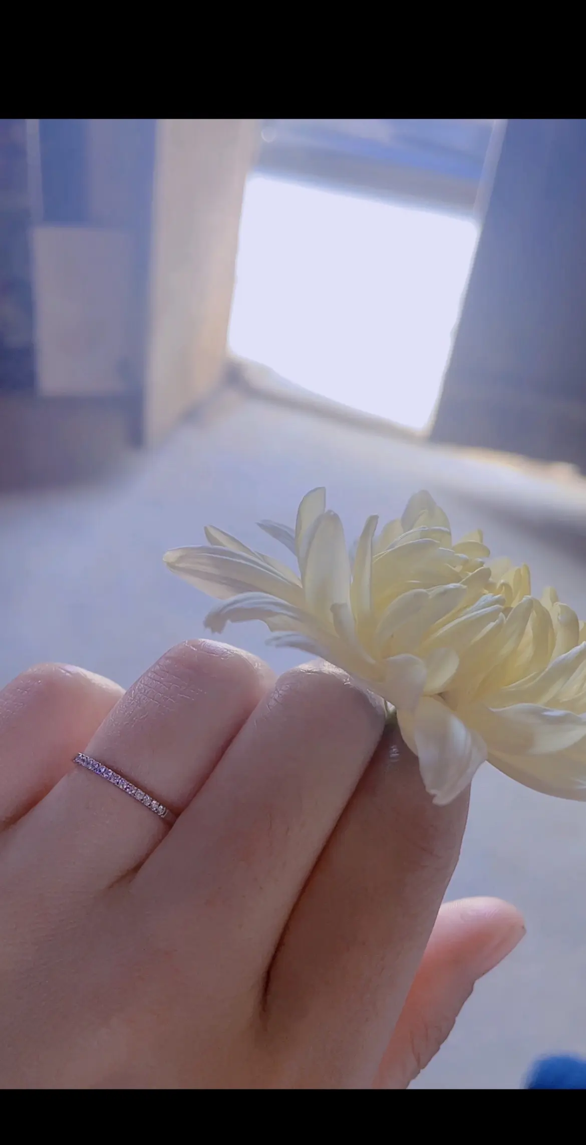 慢慢沉淀后 ，我还是想做一个温暖的人， 有自己的喜好 ，有自己的原则 ...