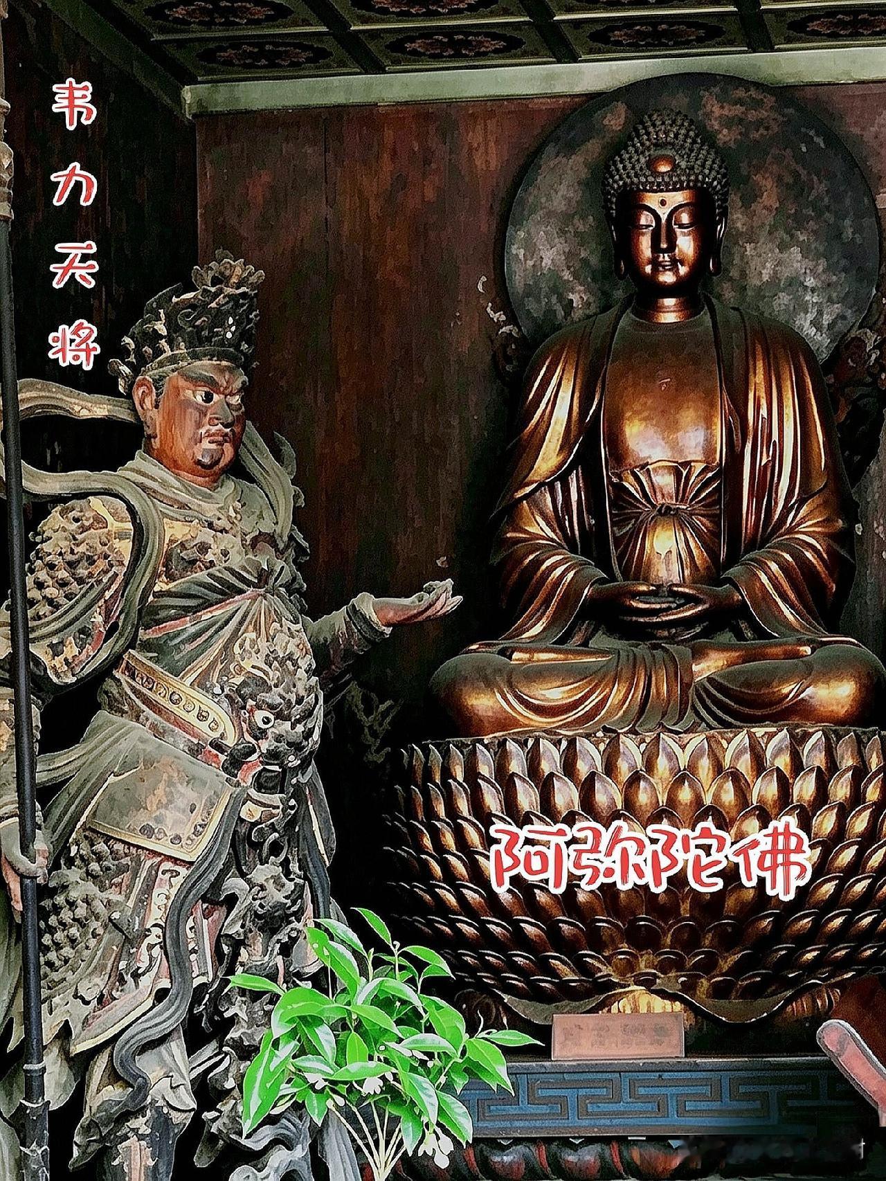 洛阳白马寺藏着国内绝版元代国宝
 
走进白马寺大雄殿，整堂造像皆是世间罕见的元代