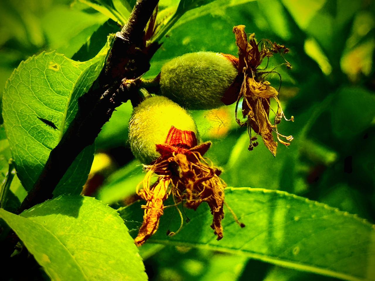 我的今日状态：😁轻松愉快
我这里的天气：🌤️多云
    等着一声相认的叹息