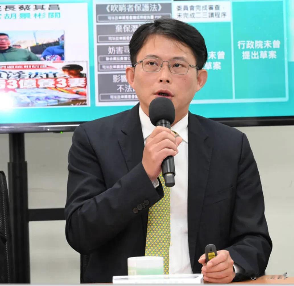 台湾政治的不变逻辑就是没有永恒的敌人，只有永恒的利益。民众党团今决定自提黄珊珊参