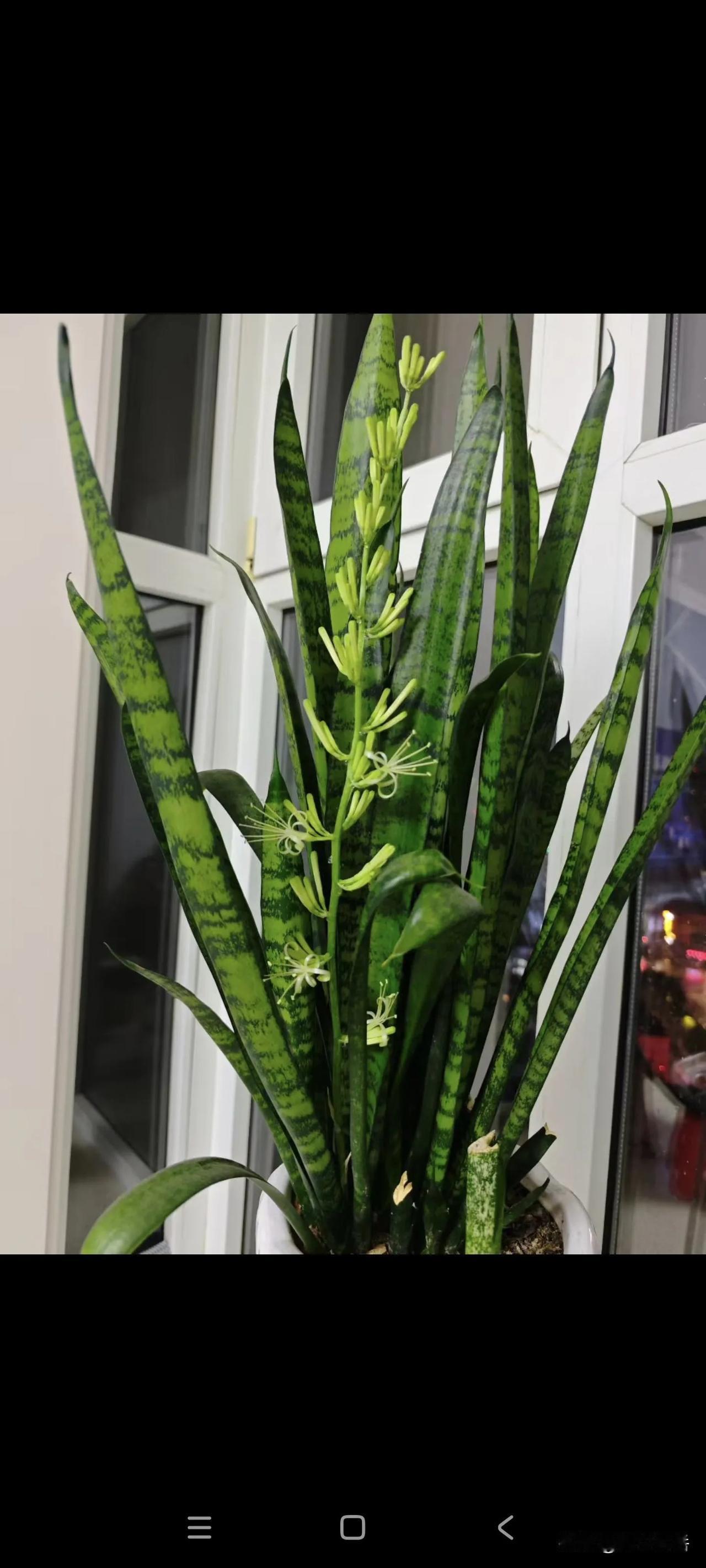 录取比例算应该能比一下。但掌握的知识，具有的眼界，专业的能力那差得不是一星半点，