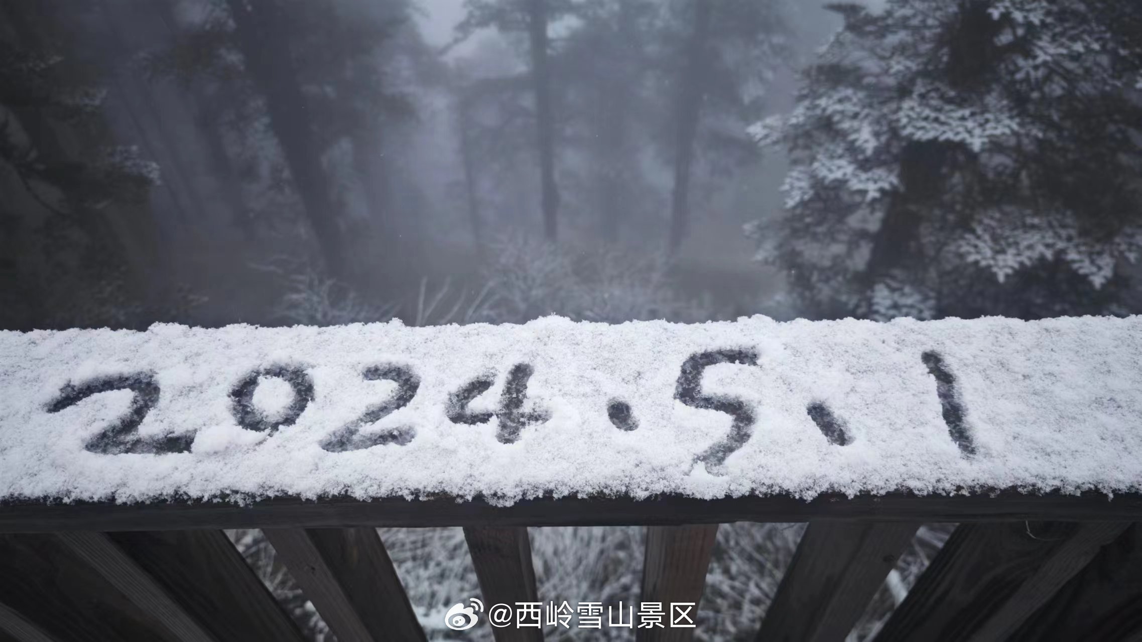 入夏失败！五一小长假第一天，西岭下春雪啦！五一假期遇上西岭春雪#五一假期去西岭赏