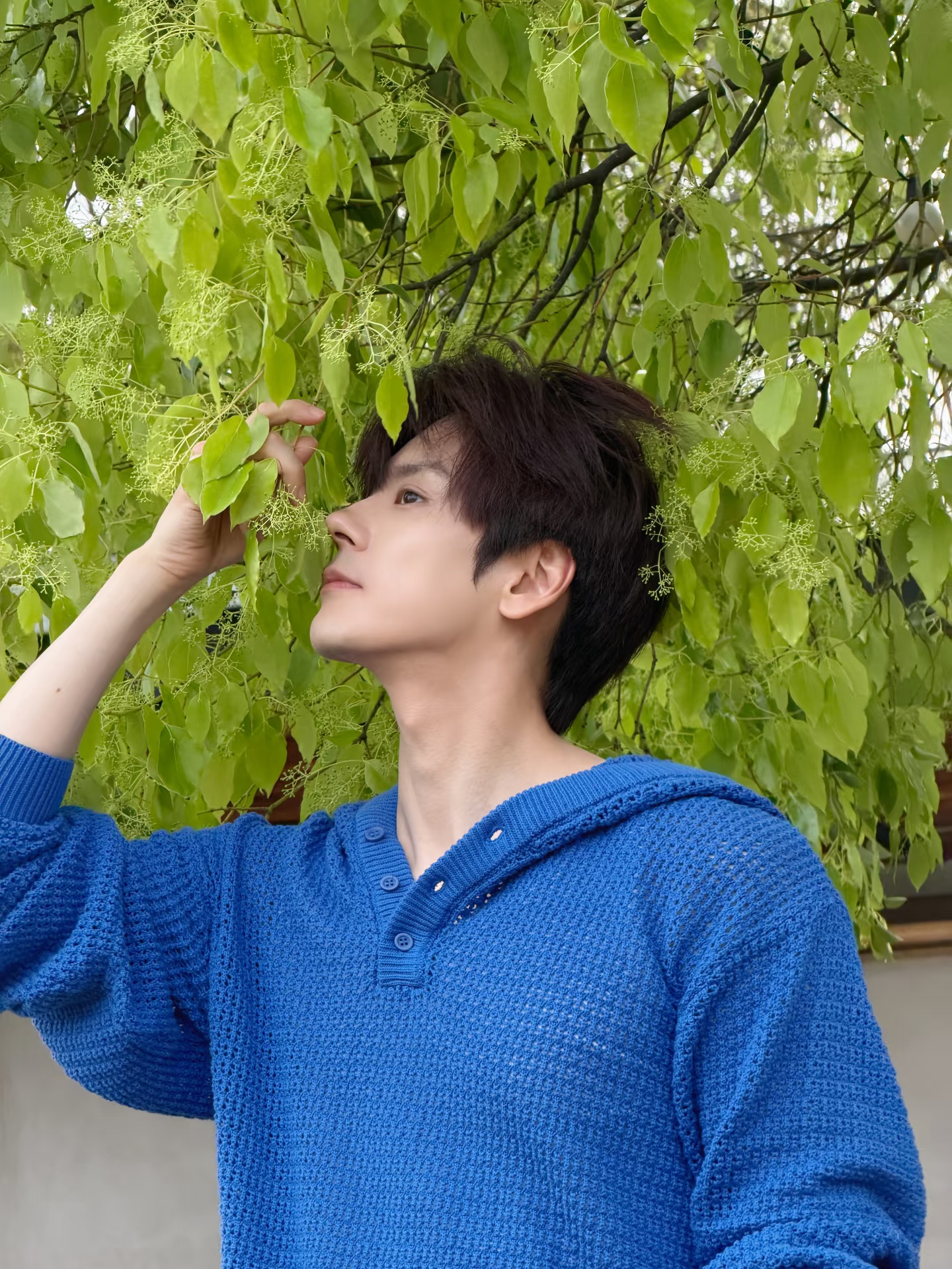 被好天气叫醒的一天~早安