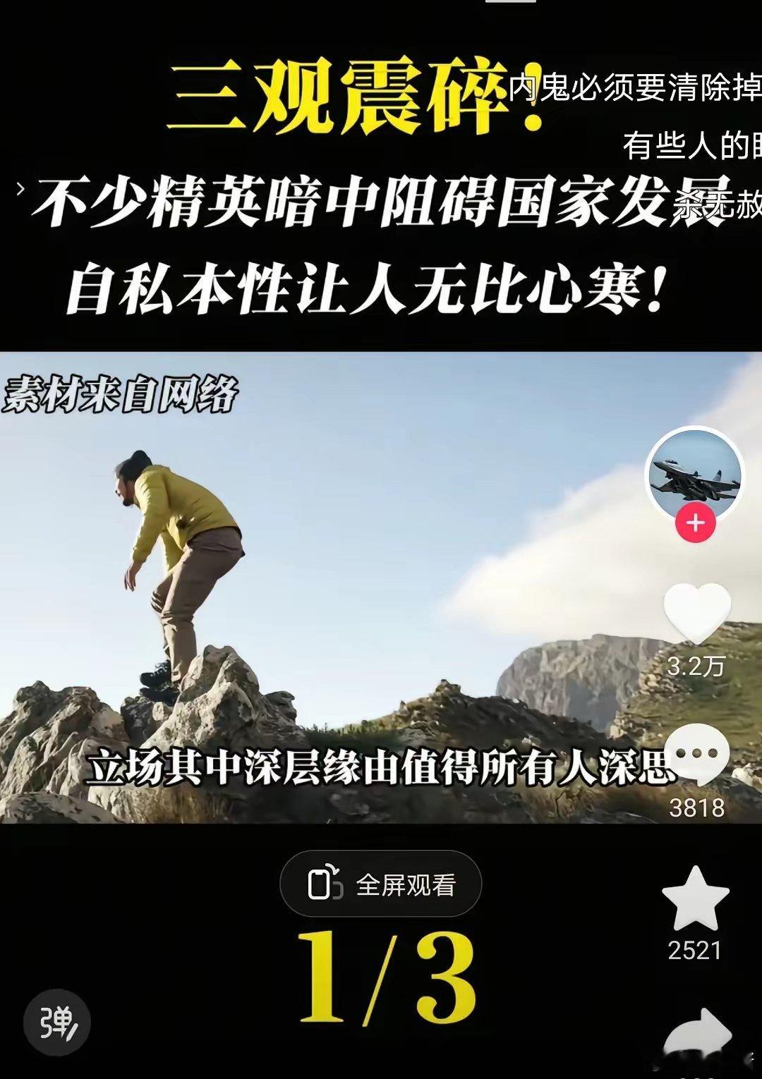 “大替代”（Grand Remplacement）理论卡米斯在2011年出版的《