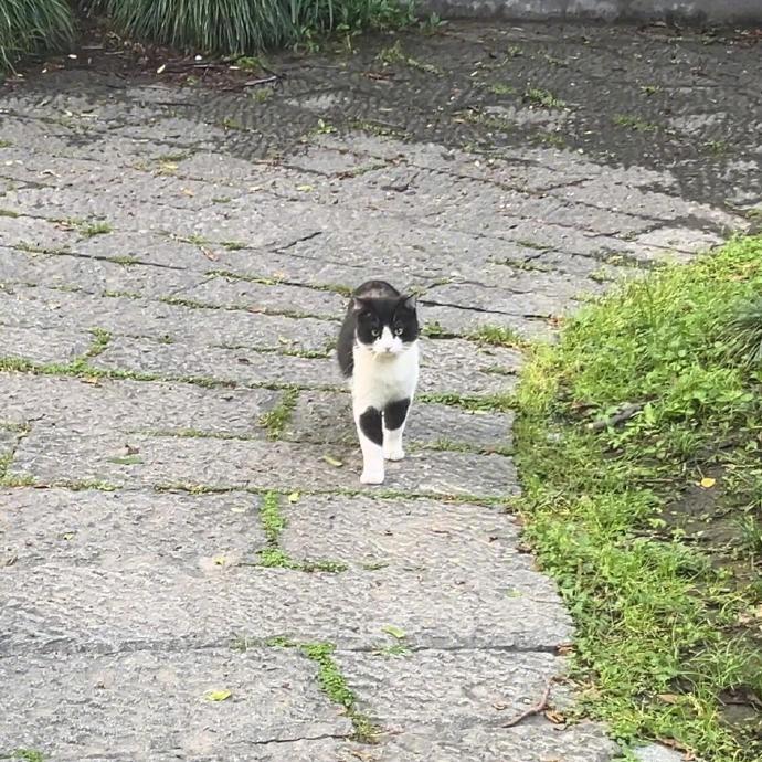 咪：脚并拢都是爱你的形状 